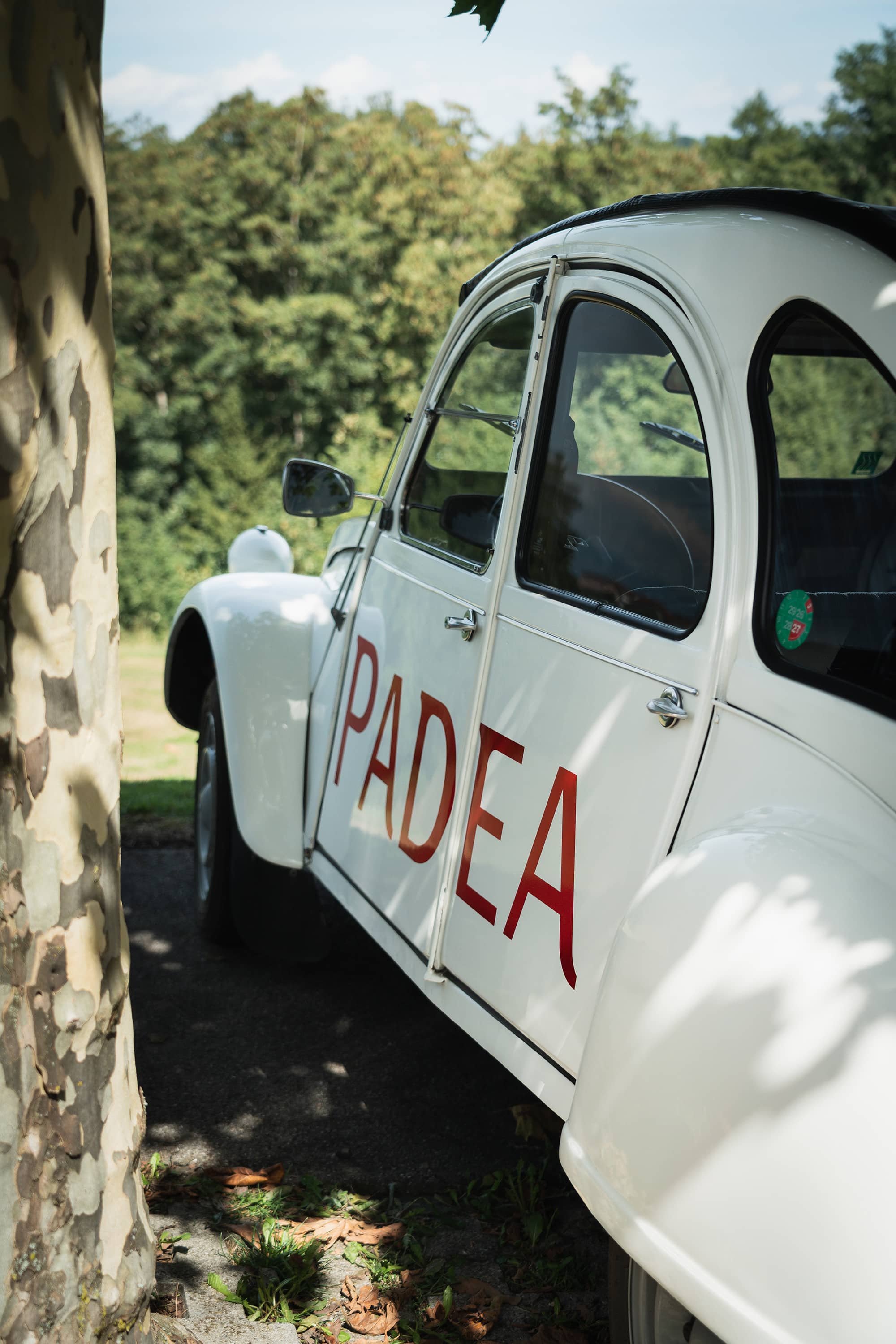 Padea Solidarity On Tour 2026